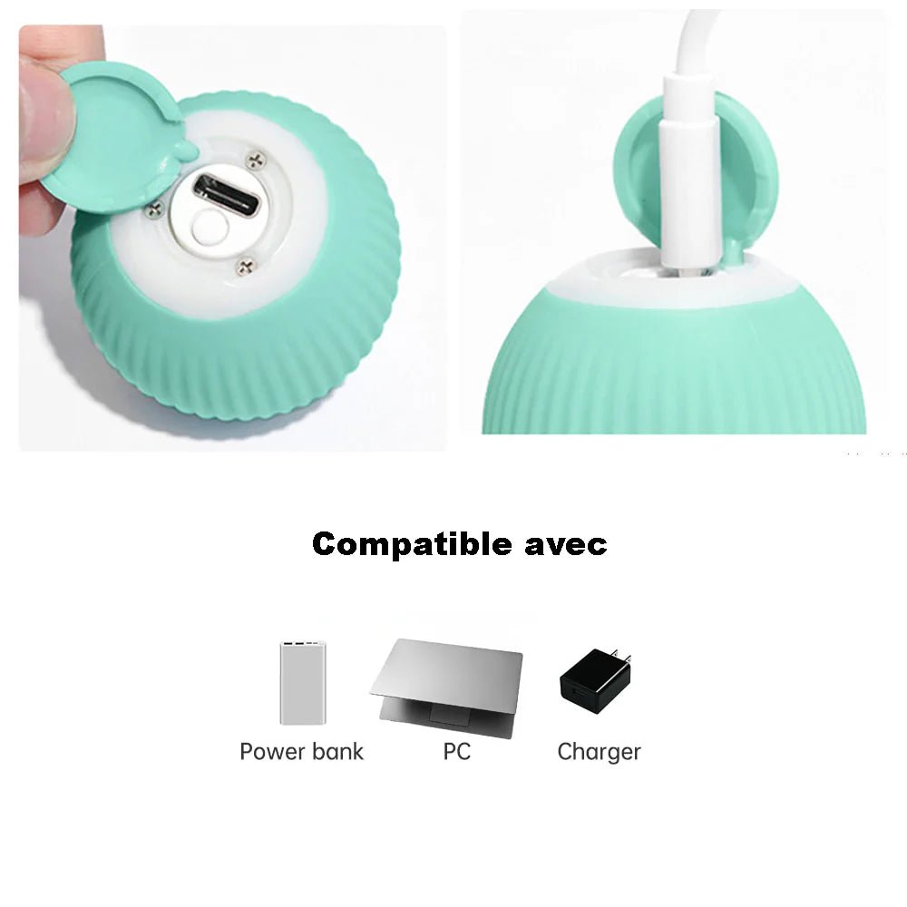 Chass’Balle - Balle interactive - A la niche