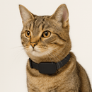 Collier GPS pour chat - sans abonnement - A la niche