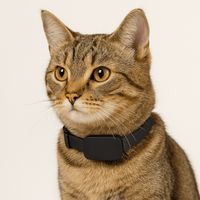 Collier GPS pour chat - sans abonnement - A la niche