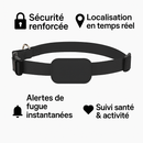 Collier GPS pour chat - sans abonnement - A la niche
