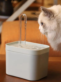 MinouSource - Fontaine à eau - A la niche